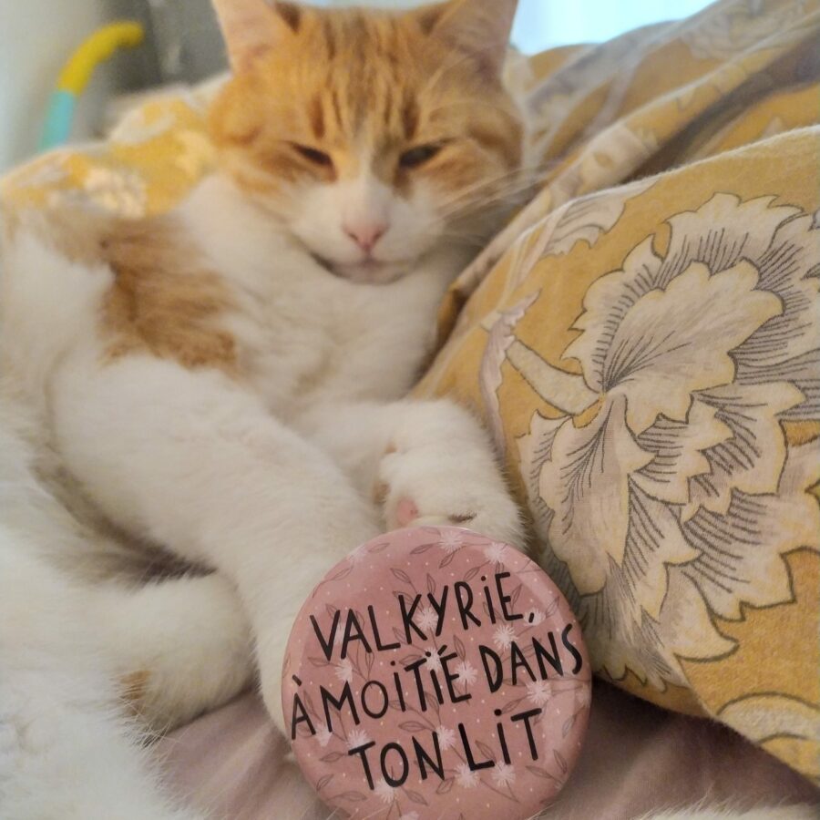 Valkyrie, à moitié dans ton lit